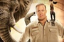 affiche-teaser-elephant-jpg