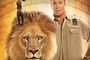 affiche-teaser-lion-jpg
