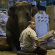 kevin-james-devant-l-elephant-jpg