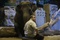 kevin-james-devant-l-elephant-jpg