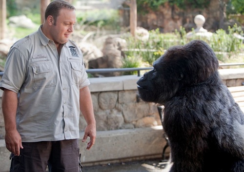 kevin-james-et-le-gorille-jpg