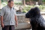 kevin-james-et-le-gorille-jpg