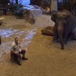 kevin-james-la-giraffe-et-l-elephant-jpg