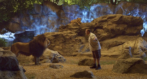 le-lion-et-kevin-james-jpg