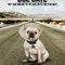 affiche teaser dog - Date limite 