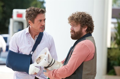 robert downey jr et zach galifianakis due date
