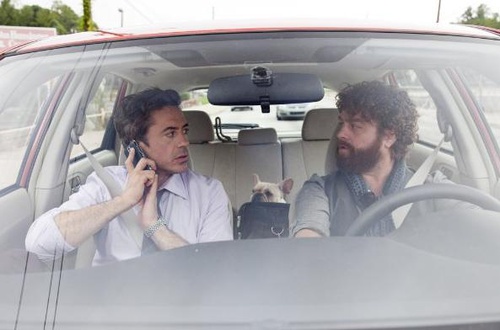 Robert Downey Jr et Zach Galifianakis