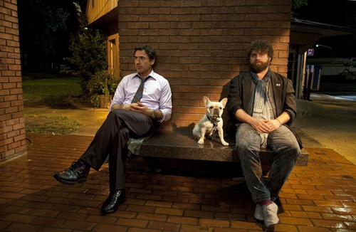 robert downey jr le chien zach galifianakis