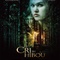 Affiche du film Le cri du hibou  - Le cri du hibou 