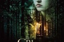 Affiche du film Le cri du hibou 