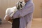 george clooney une ch  vre dans les bras