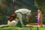 le cheval et raiponce   raiponce