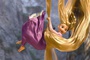 raiponce tombant