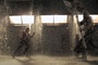 ali larter en plein combat