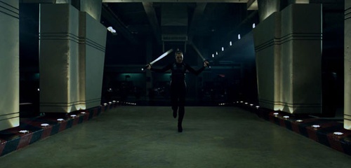 milla jovovich arm   de deux   p  es