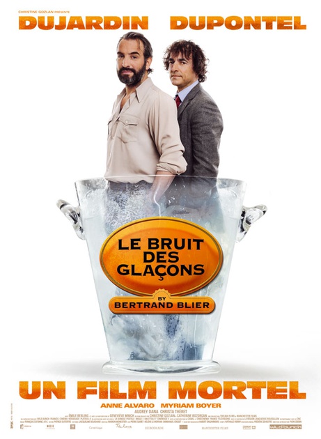 Affiche du film Le Bruit des glaçons 