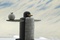 un pingouin m  tallique