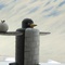 un pingouin m  tallique - Panique au village 