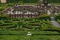 le-pape-dans-le-jardin-jpg