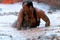 bruce willis dans l eau