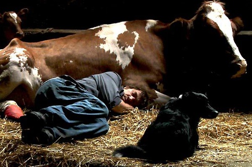 photo 4 du film coeur animal