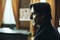 yvan attal dans rapt