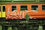 photo 3 du film wholetrain