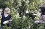 kirsten-dunst-charlotte-gainsbourg-jpg