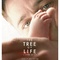 Affiche du film Tree of Life  - Tree of Life 
