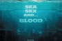 Affiche du film Piranha 3D 