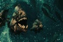 piranhas