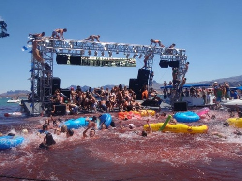 scene Piranha