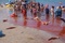 scene plage Piranha