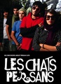 Les Chats persans