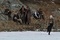 Ed Harris regarde Saoirse Ronan marcher dans la neige