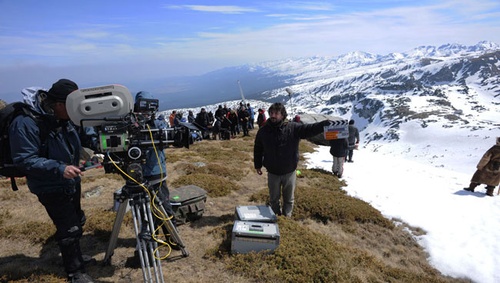 Peter Weir, réalisateur