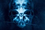 Affiche du film S. Darko