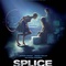 large 486618 - Splice 