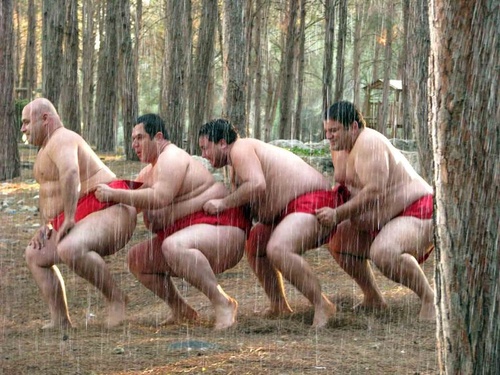 photo 2 du film sumo