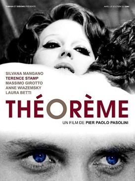 Affiche du film Théorème