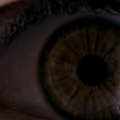 photo 7 du film amer