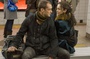 jude law alice braga