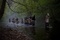 scene black death