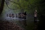scene black death