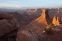 Désert d'Arizona