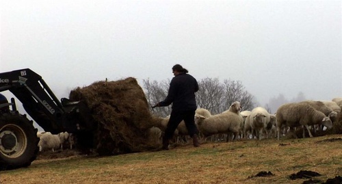 photo 9 du film le temps des gr  ces