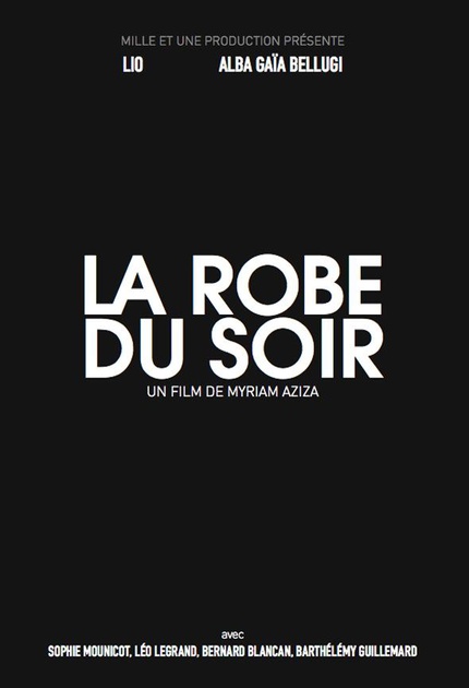 Affiche du film La robe du soir