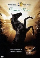 Affiche miniature du film Prince noir