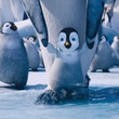 le bébé pingouin du film Happy Feet 2
