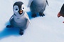 film-d-animation-happy-feet-2-jpg